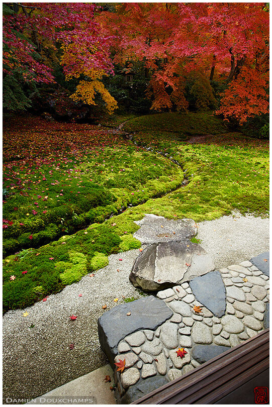 Inviting stepping stones leading to the narrow little stream cutting across the moss garden of Ruriko-in temple in autumn, Kyoto, Japan