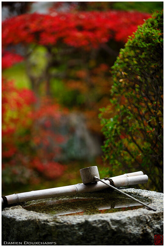 Bamboo ladle over tsukubai water basin in autumn, Ikkai-in temple, Kyoto, Japan