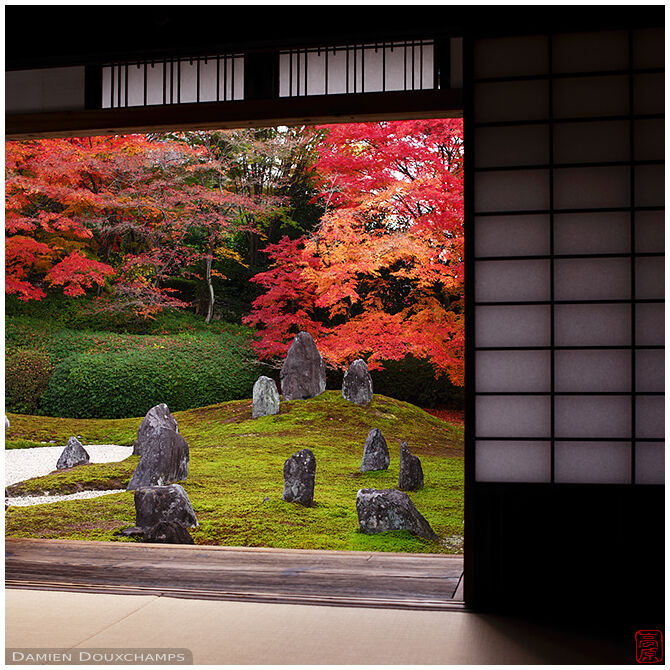 Standing stones in moss and rock garden with fiery autumn colors above, Komyo-in temple, Kyoto, Japan
