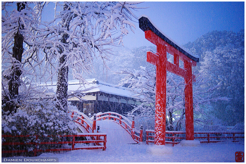 Blue hour on the snow-covered red bridge and torii gate of Shimogamo shrine, Kyoto, Japan