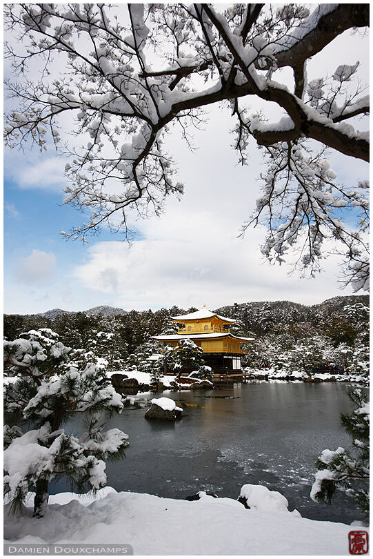 The golden pavilion on a bright snowy day, Kyoto, Japan