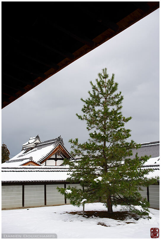 Show cover on Myoshin-ji temple, Kyoto, Japan