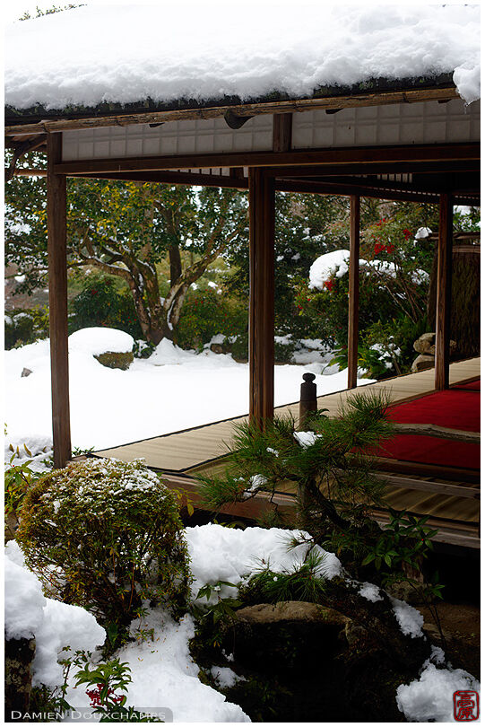 Winter in Shisen-do temple, Kyoto, Japan