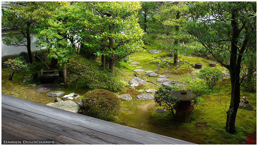 Small moss garden with frog in Kōbai-in temple, Kyoto, Japan