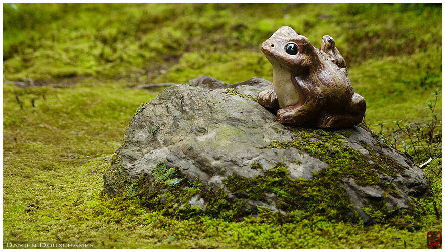 Mama frog and baby frog in mossy garden, Kobai-in temple, Kyoto, Japan
