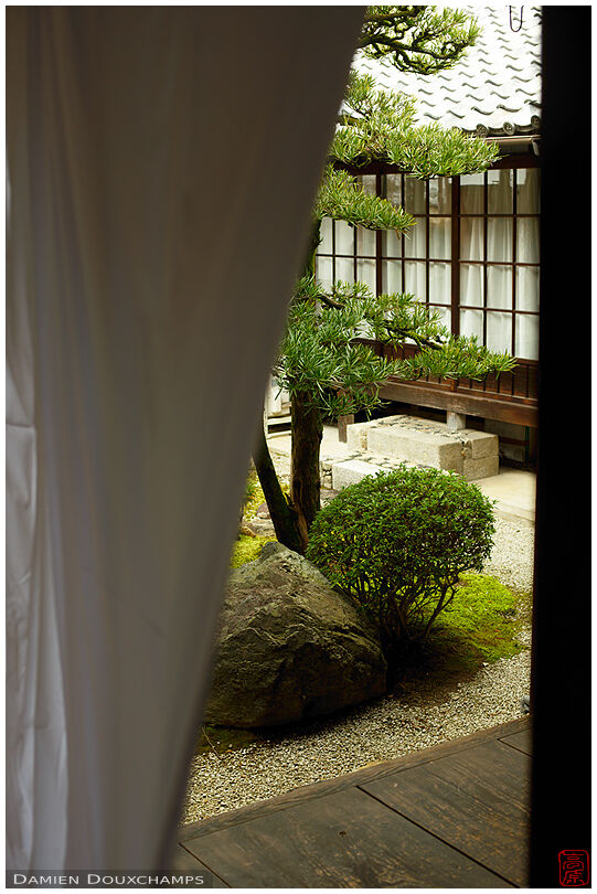 Small inner garden revealed by wind blowing in curtain, Kobai-in temple, Kyoto, Japan