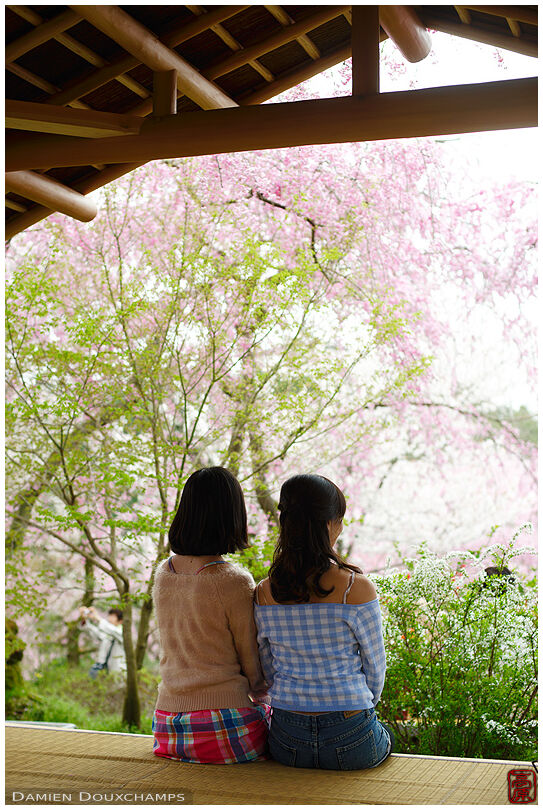 Two girls under the spring cherry blossoms, Haradani-en garden, Kyoto, Japan