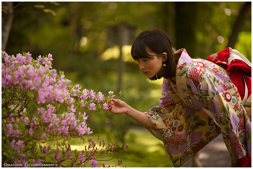 Woman wearing a kimono looking at blooming azalea in Murin-an gardens, Kyoto, Japan