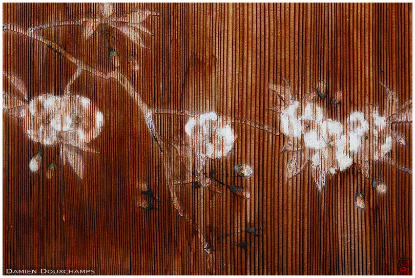 Old cherry blossom painting on a wooden partition of the Iwakura hermitage, Kyoto, Japan