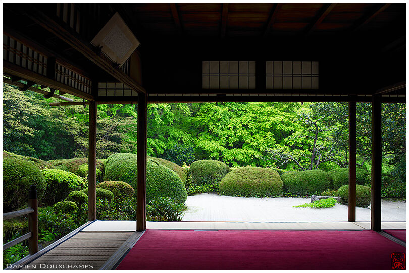 Green lush spring vegetation from the hall of Shisen-do temple, Kyoto, Japan