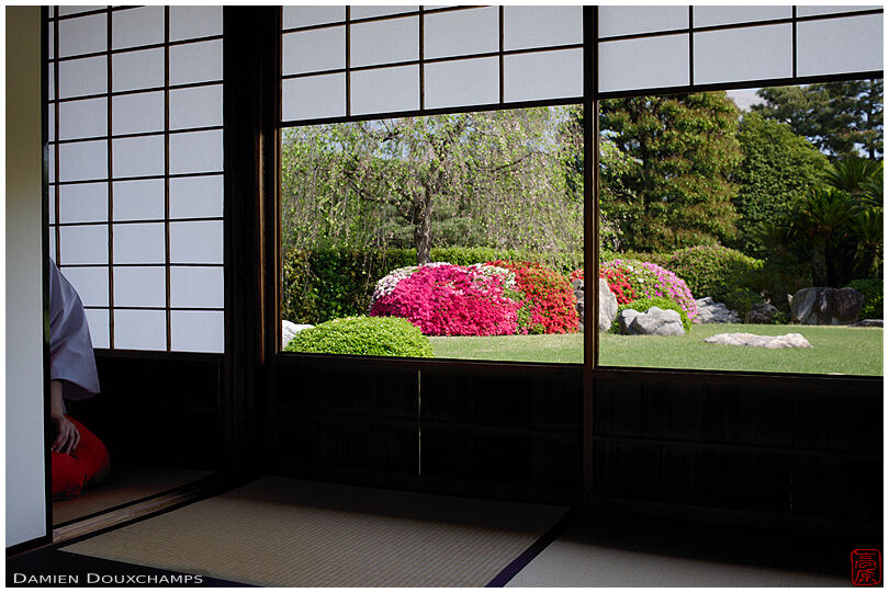 Azalea blooming and attendant waiting in tea room of Jonan-gu shrine, Kyoto, Japan