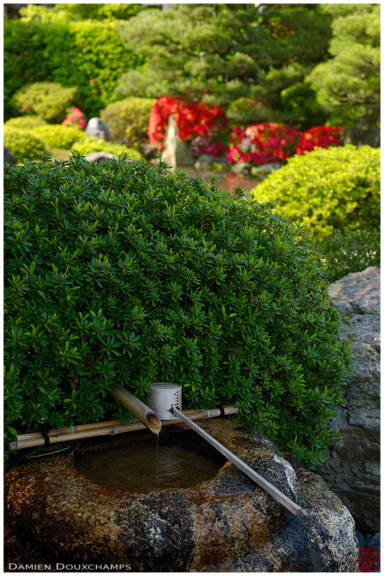 Tsukubai water basin with ladle in Jonan-gu shrine gardens, Kyoto, Japan