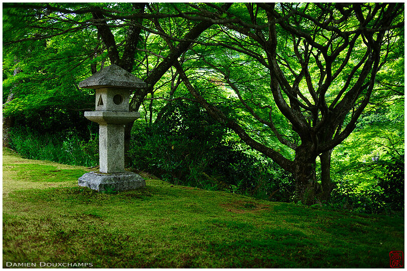 Lantern lost in the green, Hakuryu-en garden, Kyoto, Japan