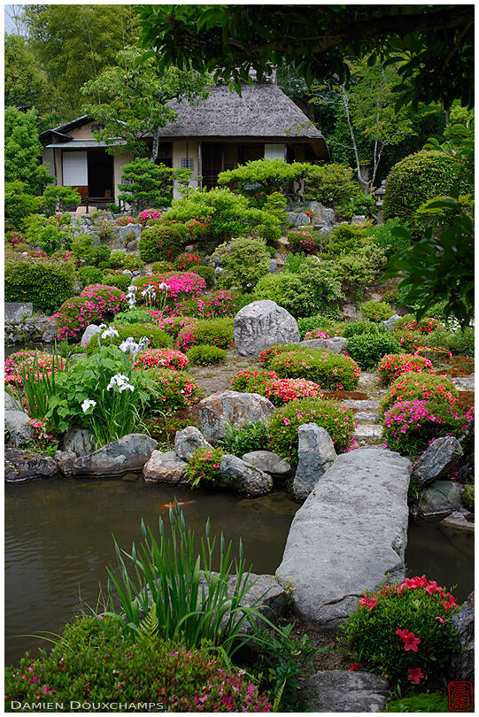 Stone bridge leading to tea house in Toji-in temple garden during rhododendron season, Kyoto, Japan