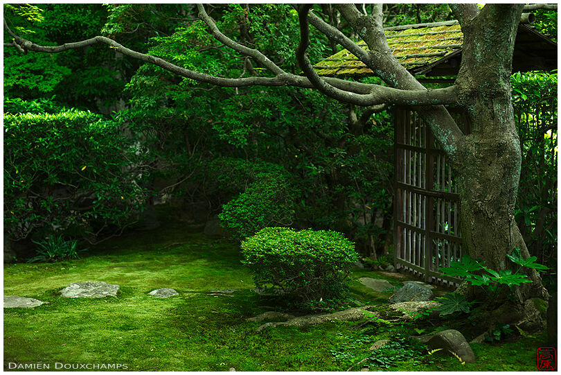 Moss garden, Keishun-in temple, Kyoto