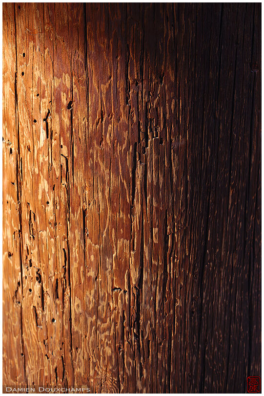 Wood texture detail of a pillar of Nanzen-ji temple's gate, Kyoto, Japan