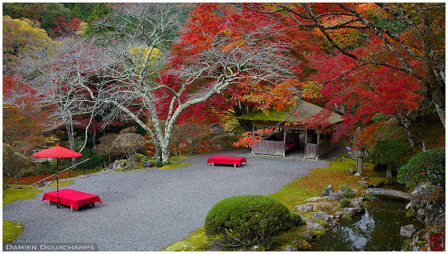 Autumn colours in Hakuryu-en garden, Kyoto, Japan