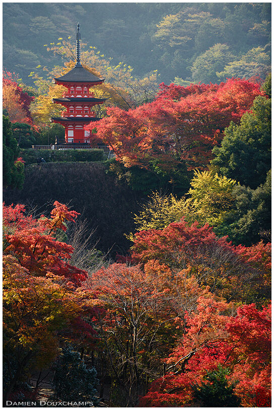 Kiyomizu-dera temple's small pagoda among bright autumn colours, Kyoto, Japan
