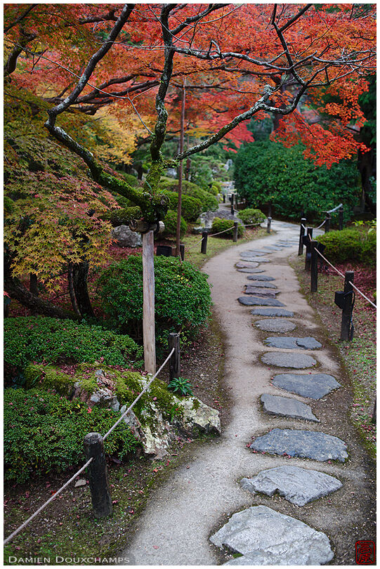 Path winding in autumn garden, Shōren-in temple, Kyoto, Japan