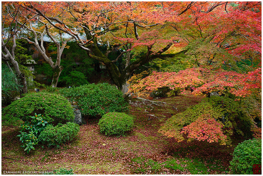 Shōren-in (青蓮院)