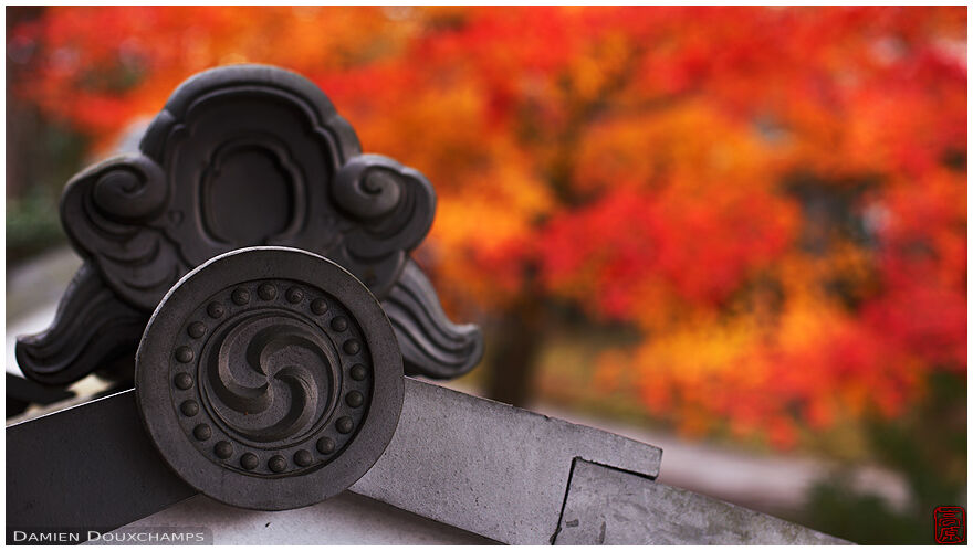 Roof tile detail with autumn colours, Shinyo-do temple, Kyoto, Japan