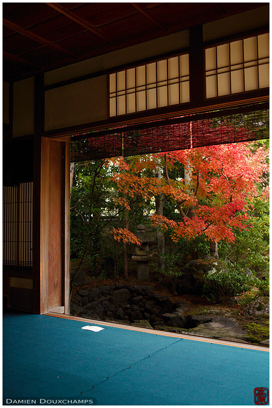 Room with blue carpet and autumn colours, Nishimura villa, Kyoto, Japan