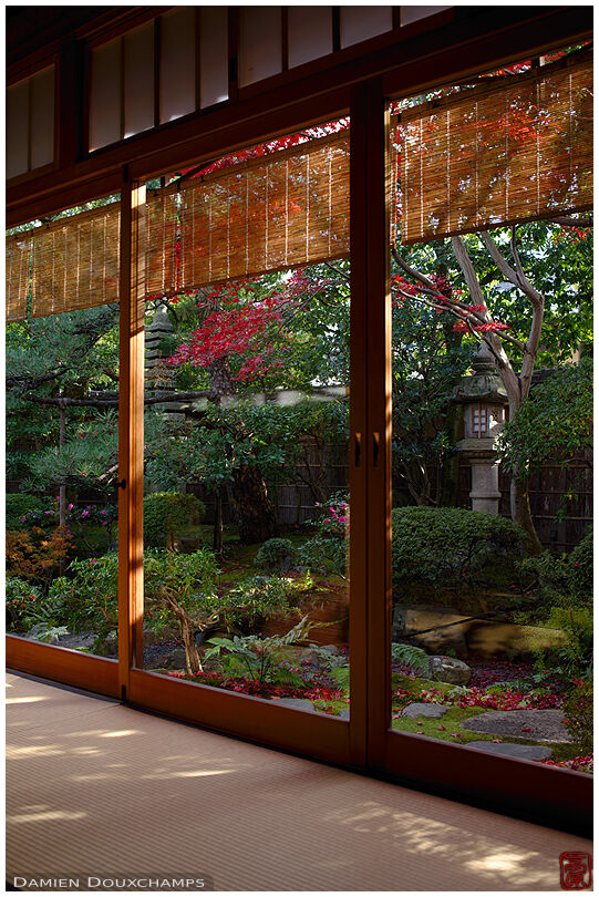 Garden of Hosen-do tea house in late autumn, Kyoto, Japan