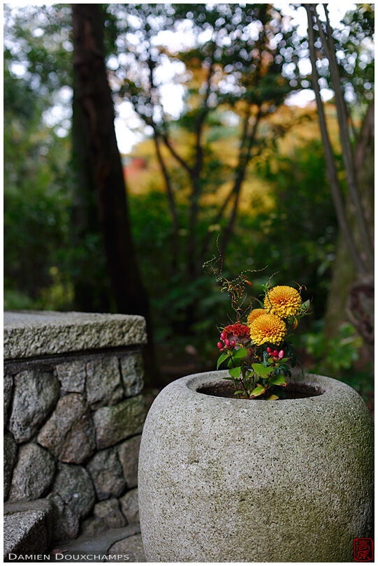 Floral composition at the entrance of the Mo-An tea house, Kyoto, Japan