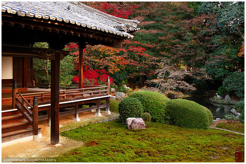 Zuishin-in temple moss garden in autumn, Kyoto, Japan
