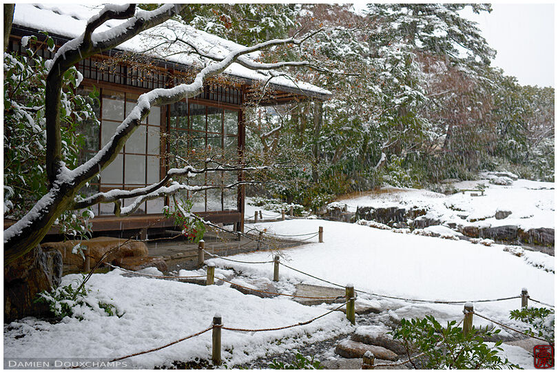 Snow falling on the Murin-an garden, Kyoto, Japan