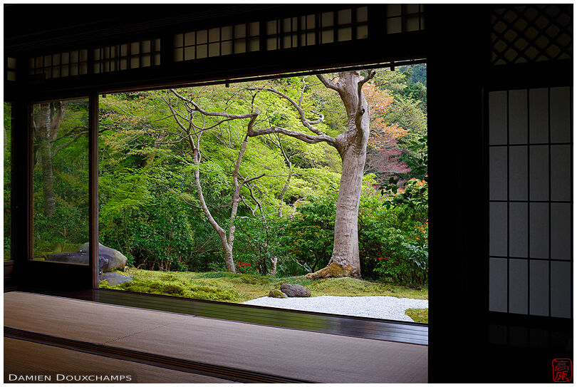 Room with view on moss and rock garden in Ruriko-in temple, Kyoto, Japan