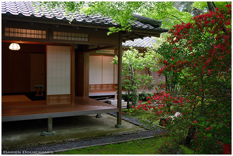 A sprinkle of red colours around the Kobun-tei tea house, Shoren-ji temple, Kyoto, Japan