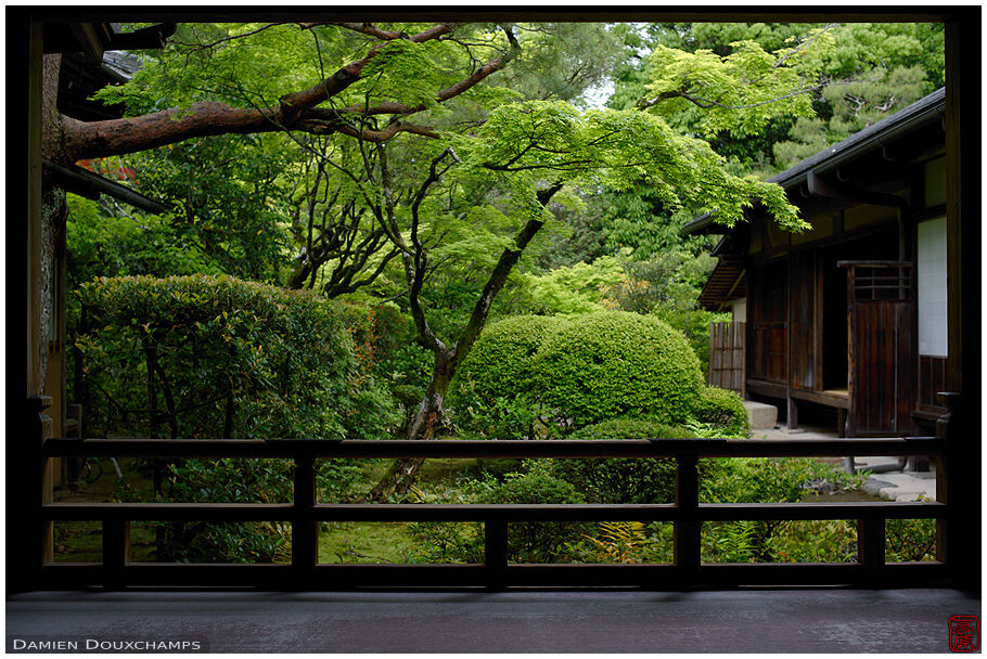 Kōtō-in (高桐院)