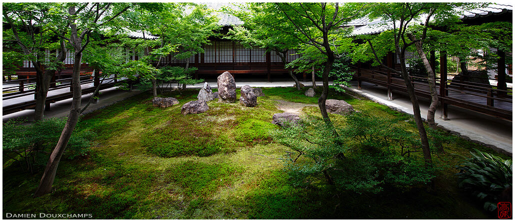 Green moss inner garden, Kennin-ji temple, Kyoto, Japan