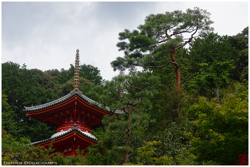 Red pagoda in pine forest, Imakumano Kannon-ji temple, Kyoto, Japan