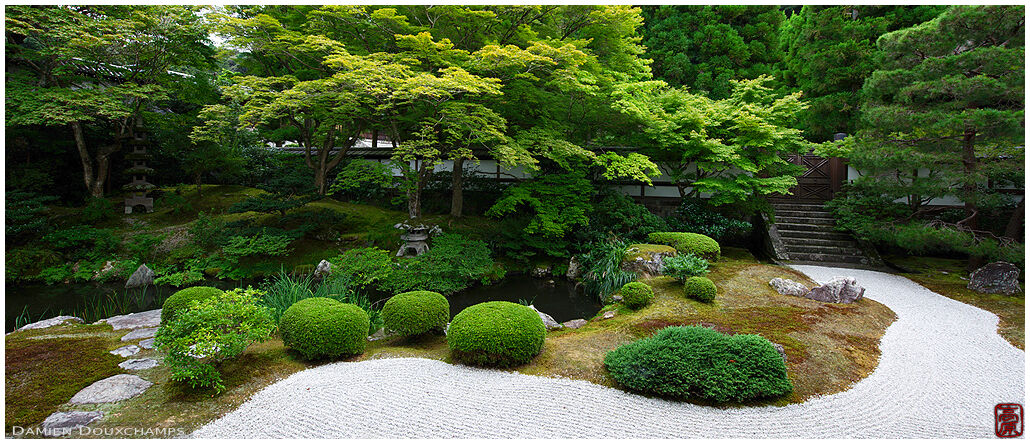 Green colours of summer zen garden, Sennyu-ji temple, Kyoto, Japan