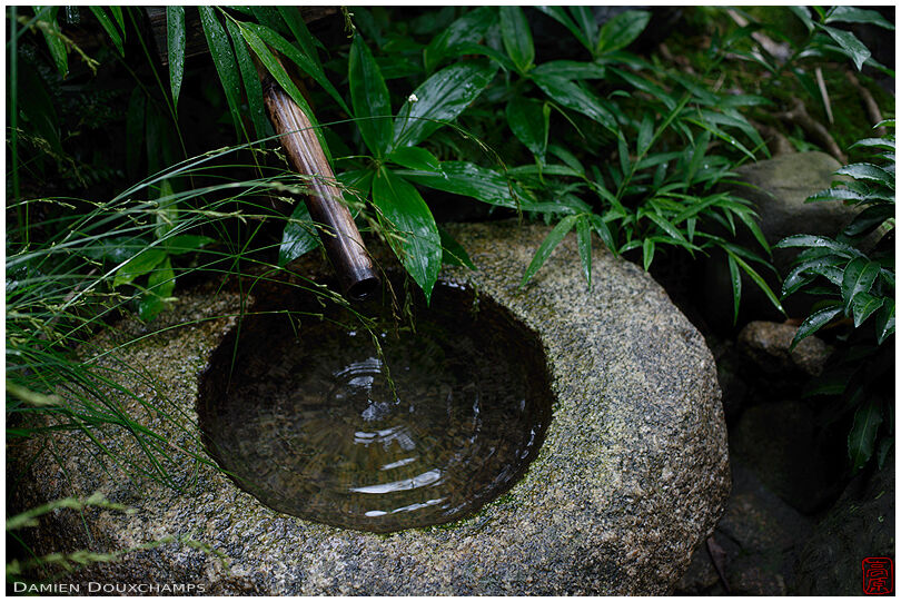 Simple tsukubai water basin in Kodo-kan house, Kyoto, Japan