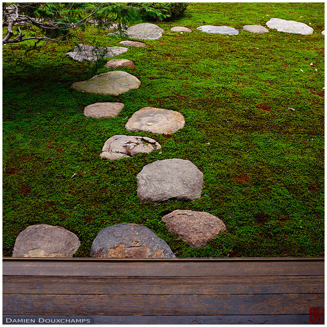 Stepping stones in moss garden, Mitsui-Shimogamo villa, Kyoto, Japan