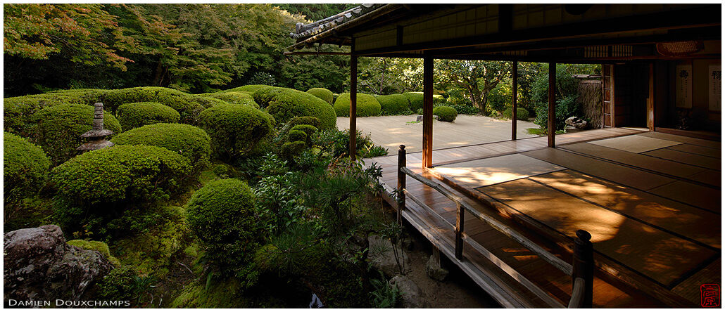 Early morning light playing on the tatami of Shisen-do temple's main hall, Kyoto, Japan