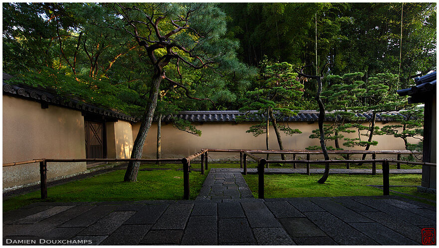 First light on Koto-in temple entrance moss garden, Kyoto