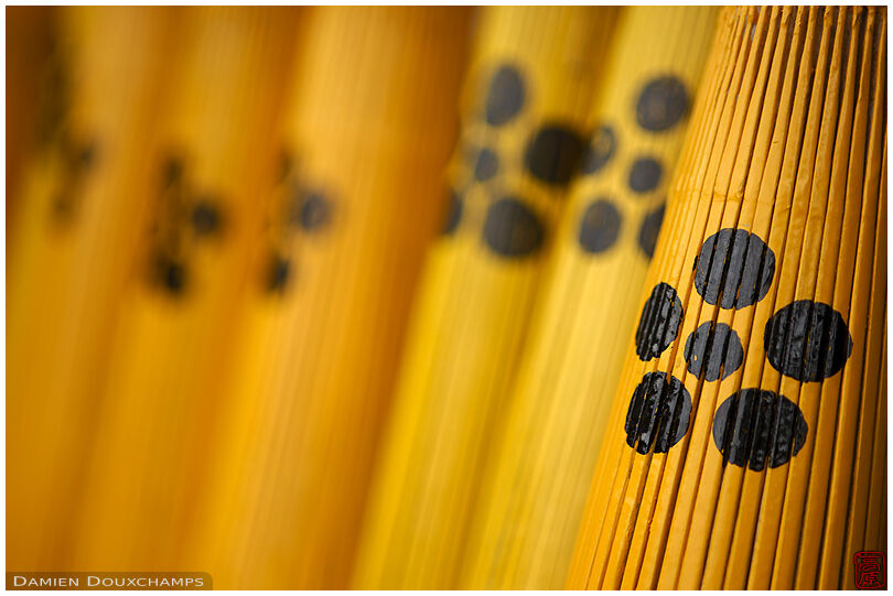 Yellow traditional umbrellas in Kitano Tenmangu shrine, Kyoto, Japan