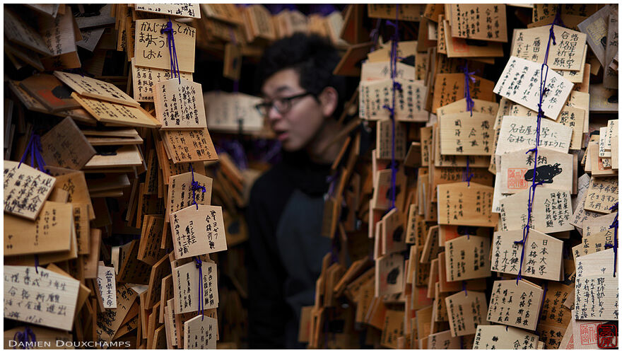 Man lost among thousands of ema tablets in Kitano Tenmangu shrine, Kyoto, Japan