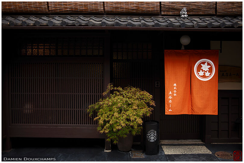 Orangen noren cloth and small maple tree in front of a traditional Kyoto machiya facade, Japan
