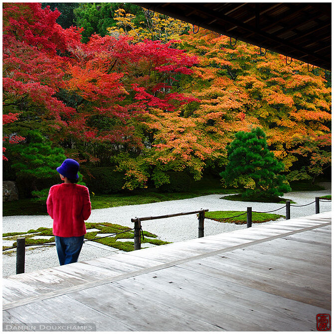 Woman with purple hat visiting Tenju-an temple garden during peak autumn season, Kyoto, Japan
