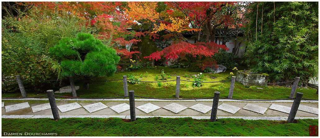 Autumn colours and late flowers near the narrow path crossing Tenju-an temple garden, Kyoto, Japan