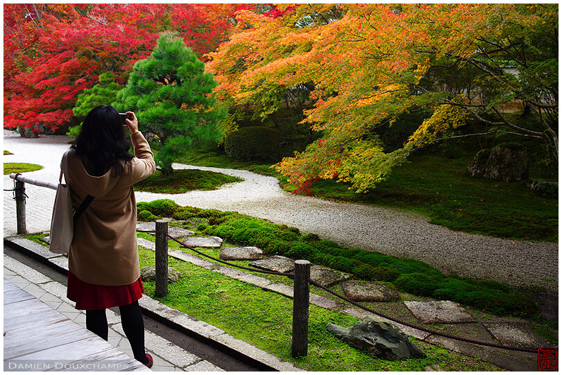 Woman photographing Tenju-an temple garden in autumn, Kyoto, Japan