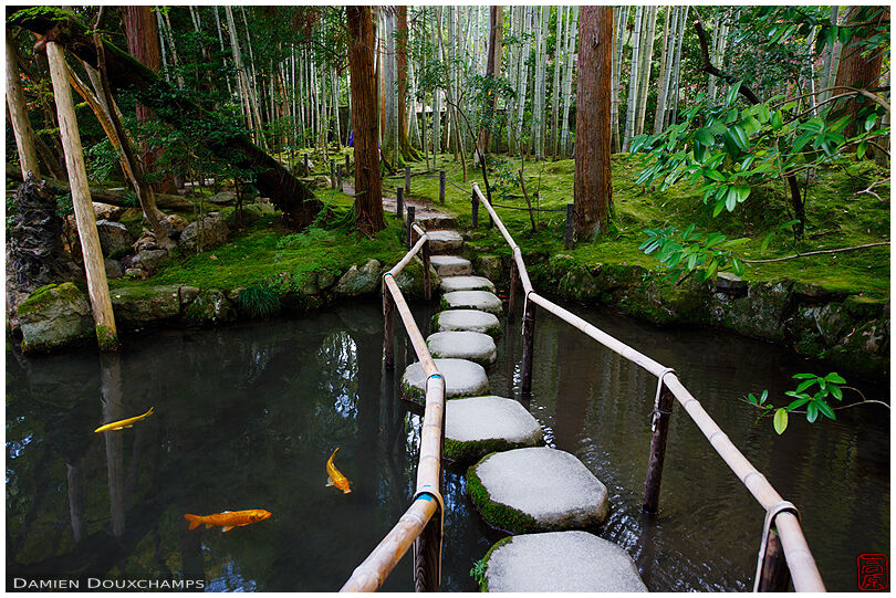 Stepping stones crossing koi pond in Tenju-an temple, Kyoto, Japan