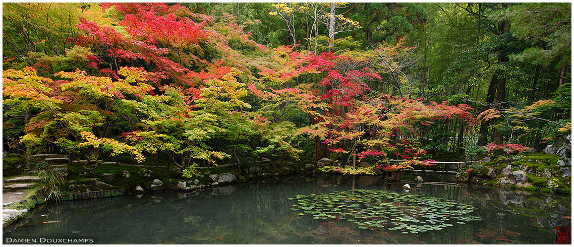 Tenju-an temple pond in autumn, Kyoto, Japan