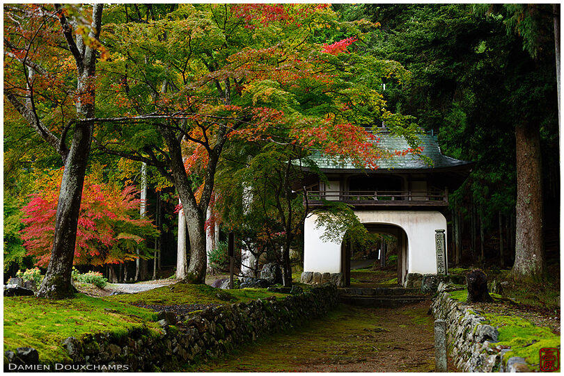 Remote temple gate in forest, Ohara valley, Kyoto