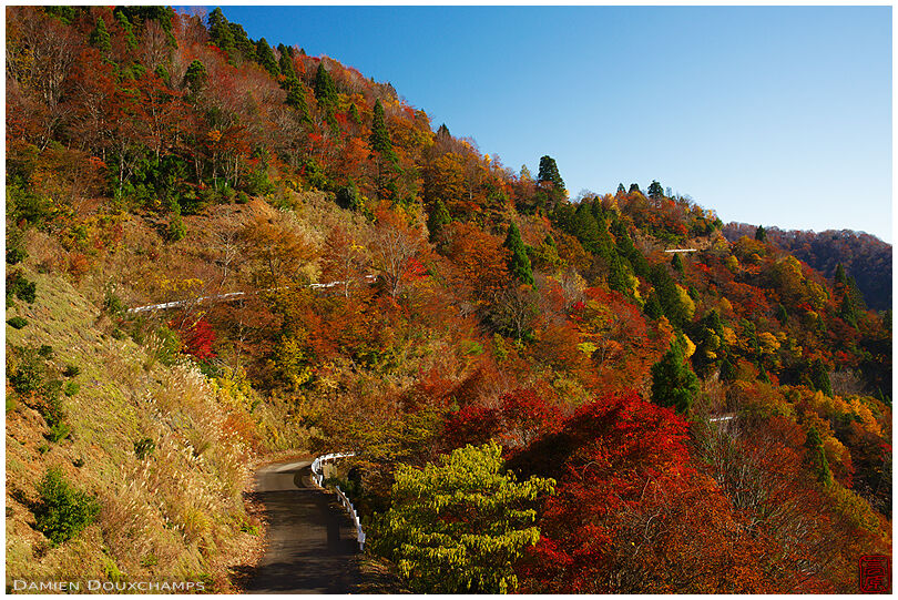 Road winding in autumn foliage, Fukui, Japan